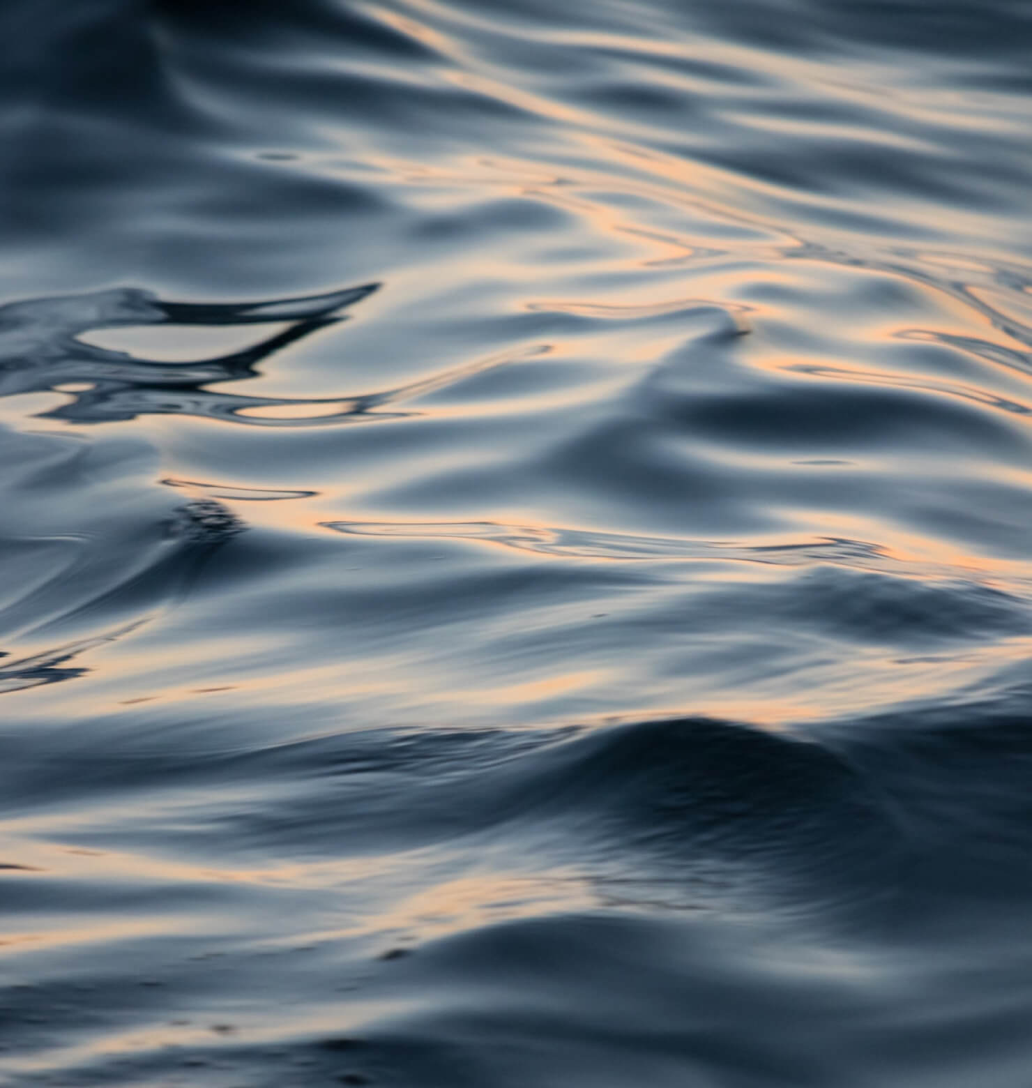 Water